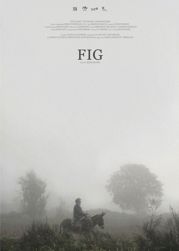 affiche du film La figue