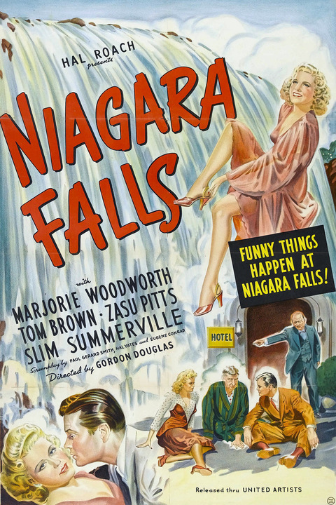 affiche du film Niagara Falls