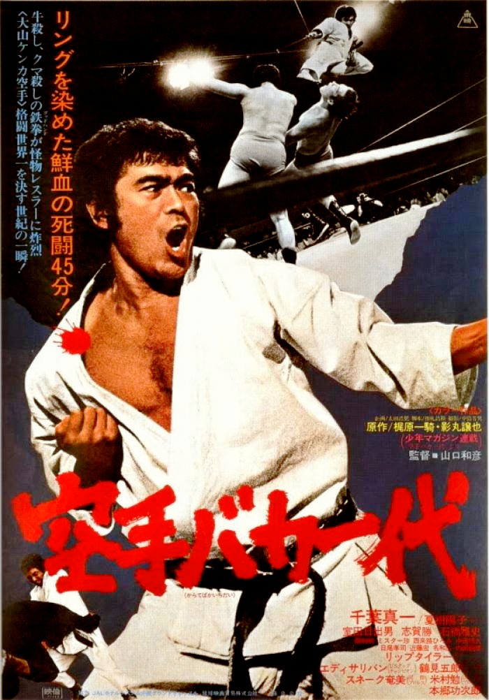 affiche du film Karate For Life