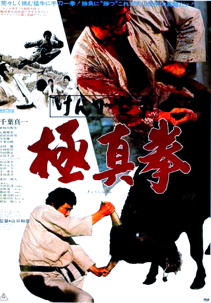 affiche du film Karate Bullfighter