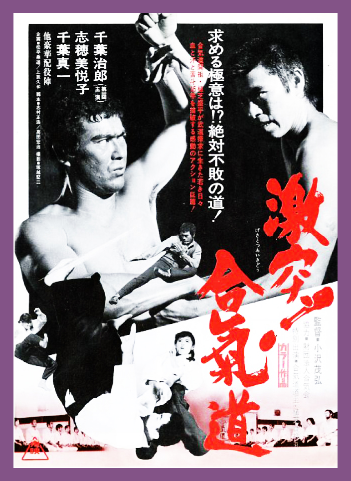 affiche du film Power of aikido