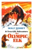 Le Seigneur de la forêt (The Olympic Elk)