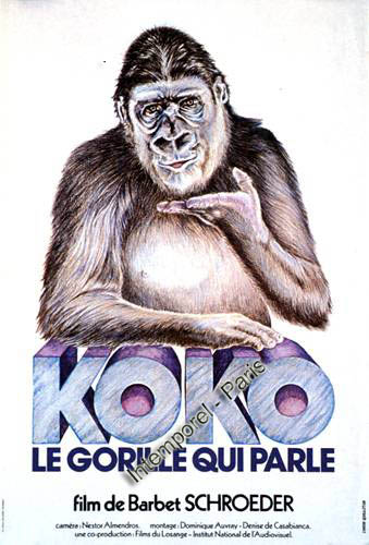 affiche du film Koko, le gorille qui parle