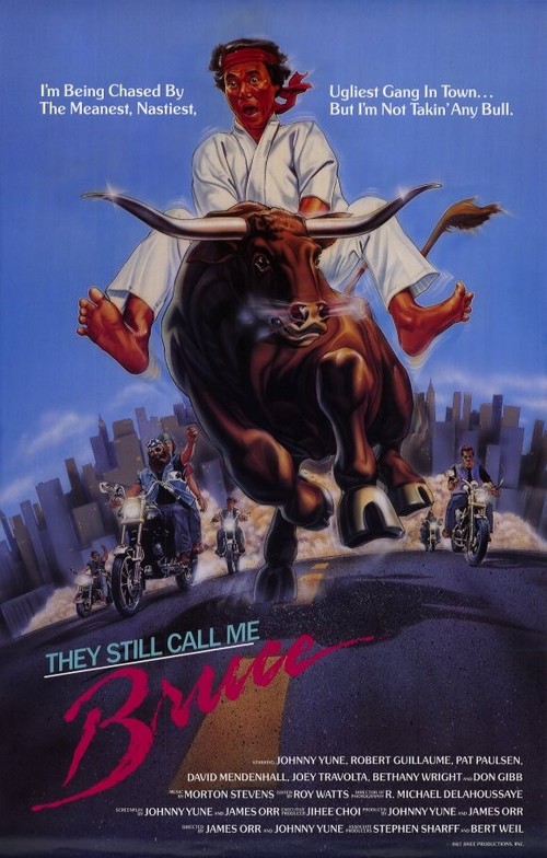 affiche du film They Still Call Me Bruce