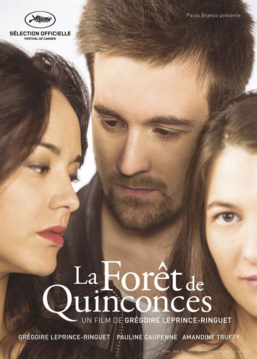 affiche du film La Forêt de Quinconces