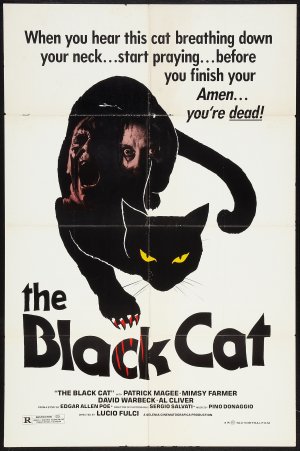 affiche du film Le Chat Noir