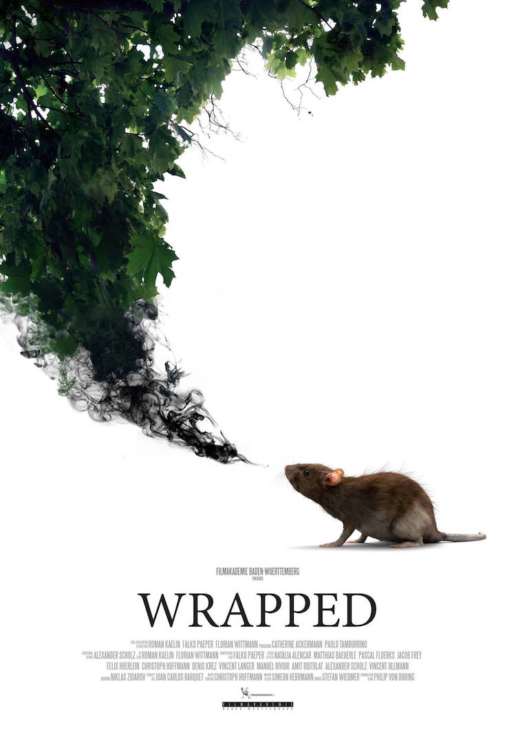 affiche du film Wrapped