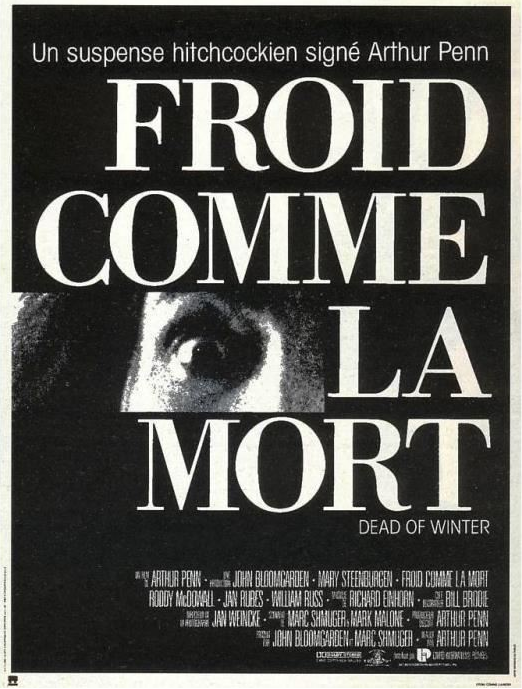 affiche du film Froid comme la mort