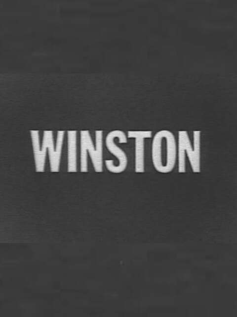 affiche du film Winston