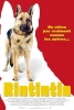 Rintintin (Finding Rin Tin Tin)