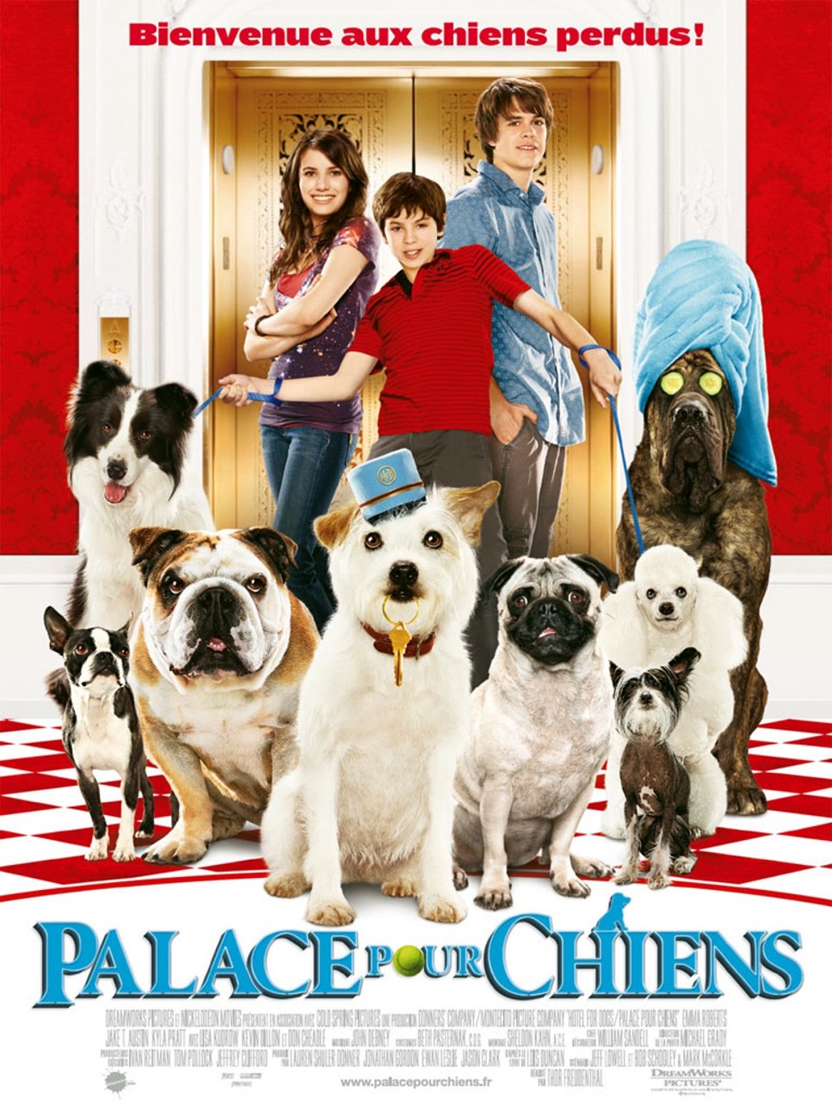 affiche du film Palace pour chiens