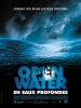 Open Water : En eaux profondes (Open Water)