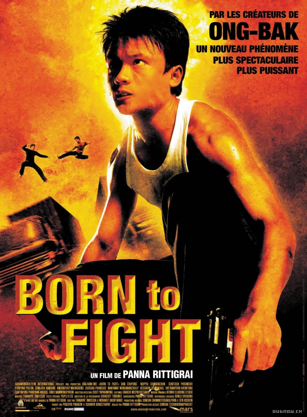 affiche du film Born to Fight