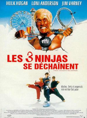 affiche du film Les 3 ninjas se déchaînent