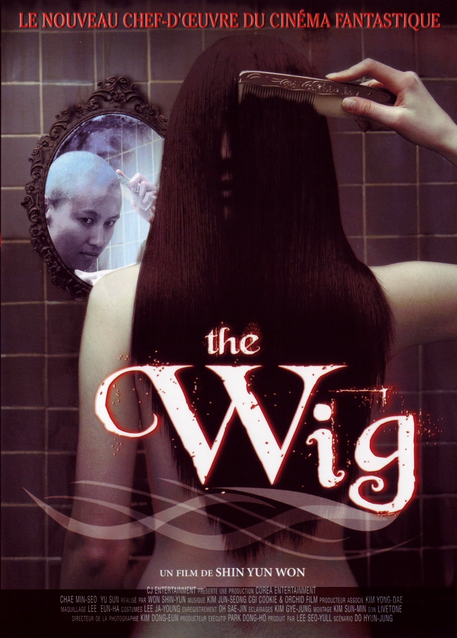 affiche du film The Wig