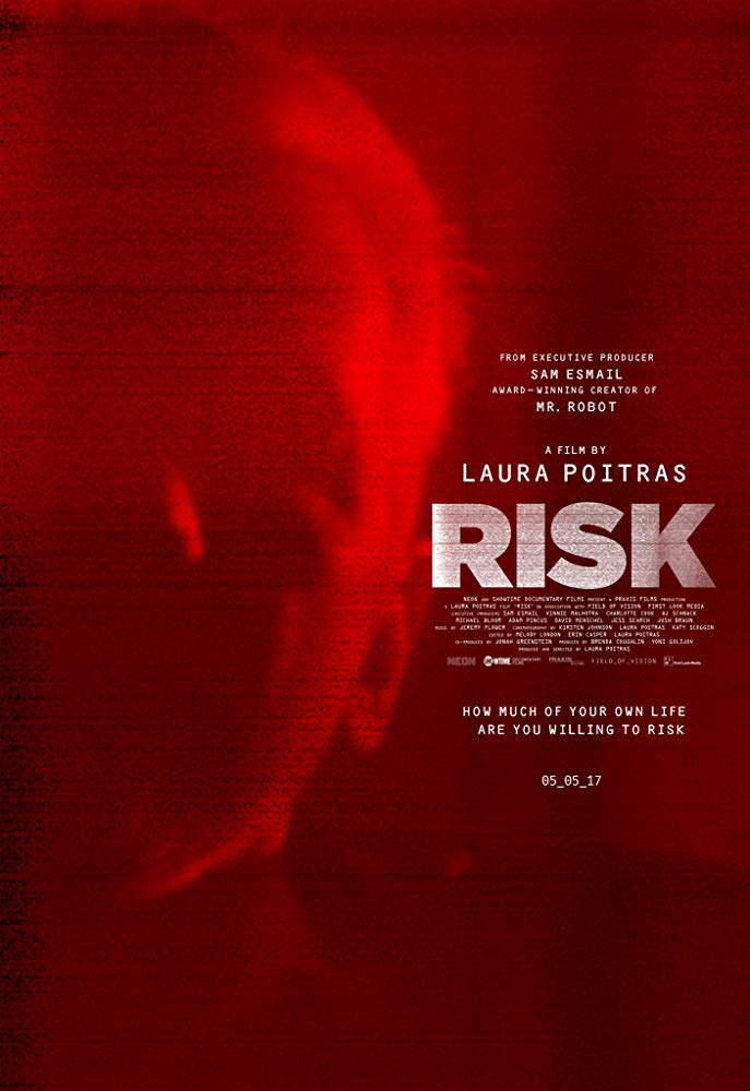 affiche du film Risk