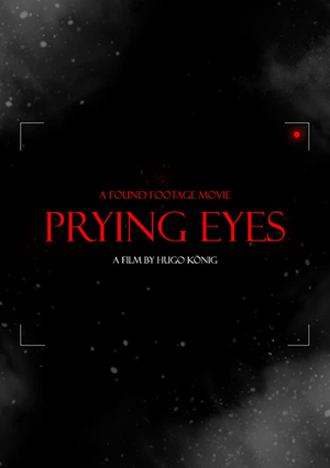 affiche du film Prying Eyes