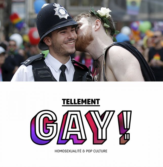 affiche du film Tellement Gay !
