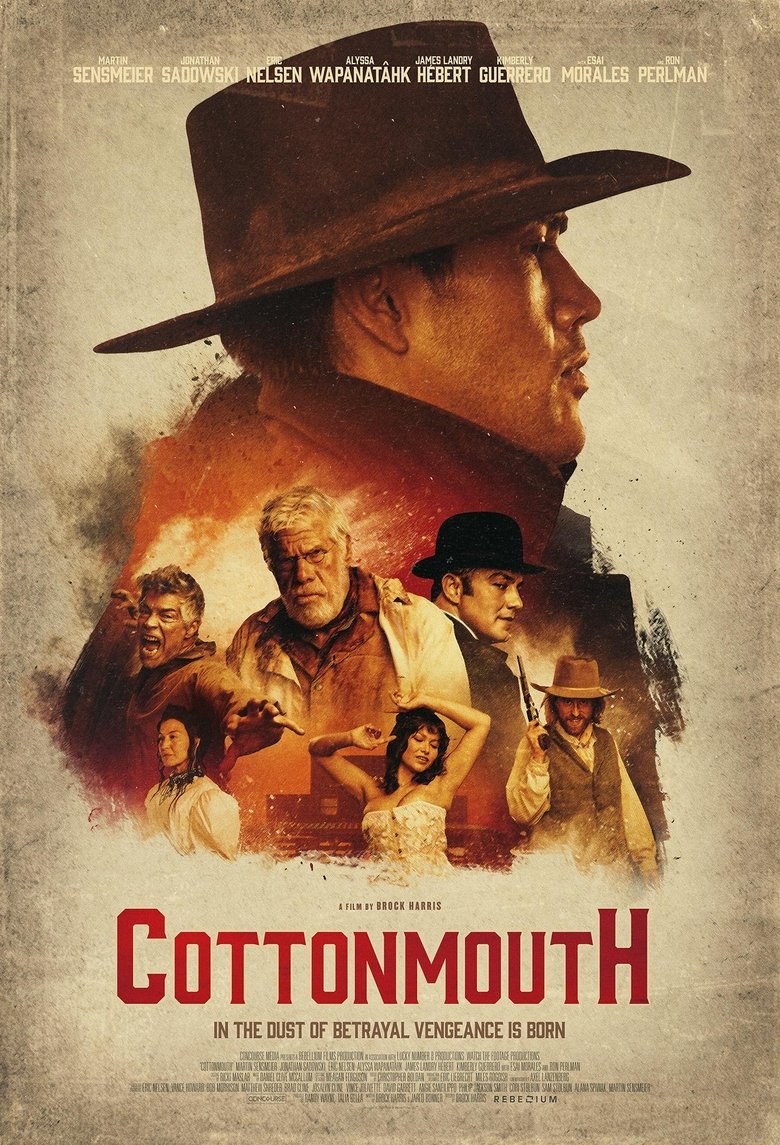 affiche du film Cottonmouth