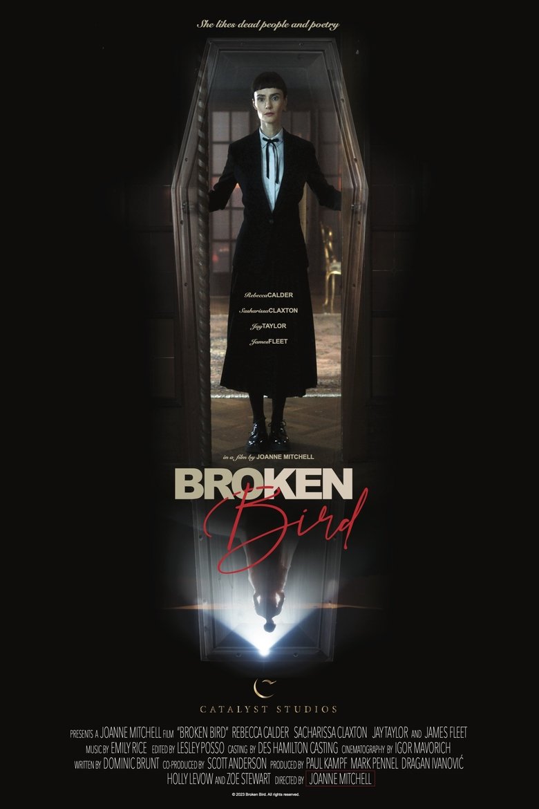 affiche du film Broken Bird