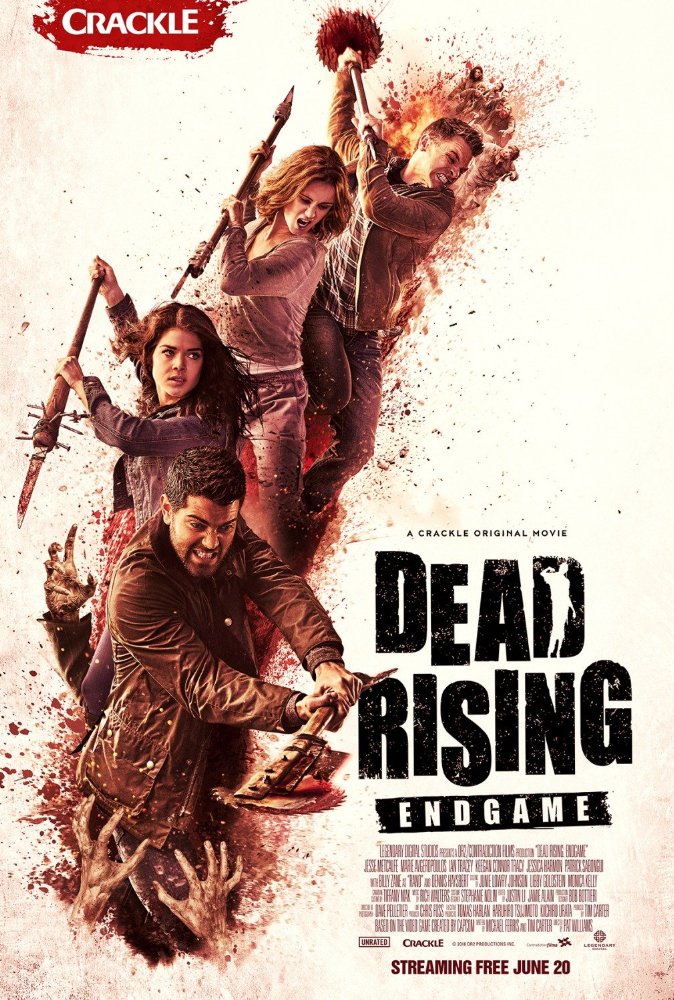 affiche du film Dead Rising: Endgame