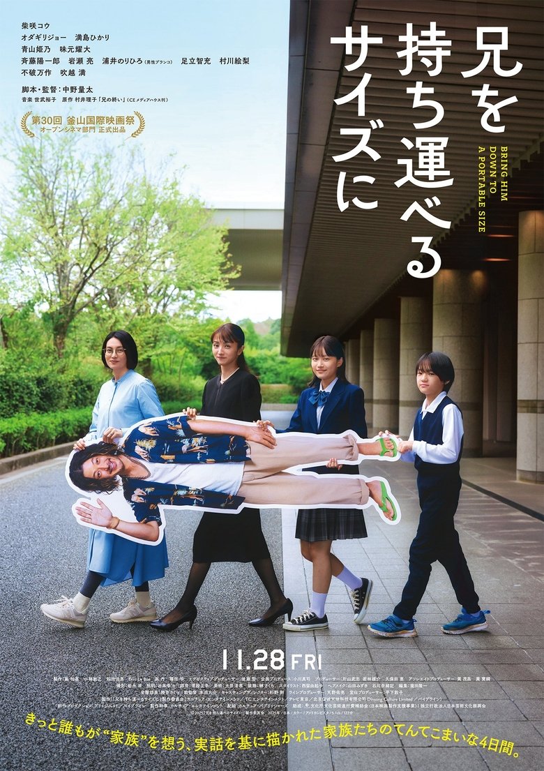 affiche du film Mon grand frère et moi