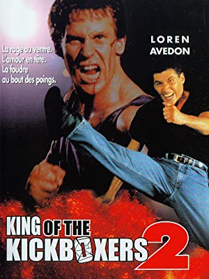 affiche du film King Of The Kickboxers 2