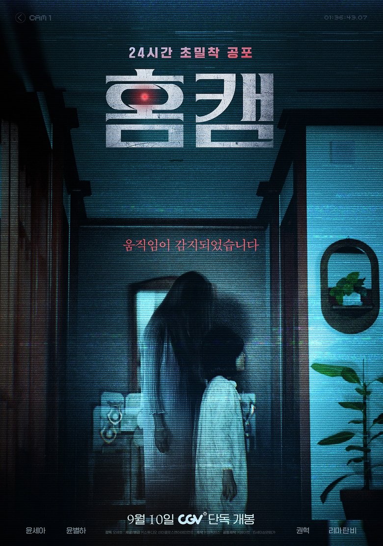 affiche du film Homecam