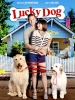 Un chien très chanceux (Lucky Dog)
