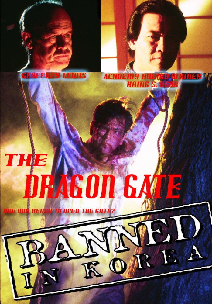 affiche du film The Dragon Gate