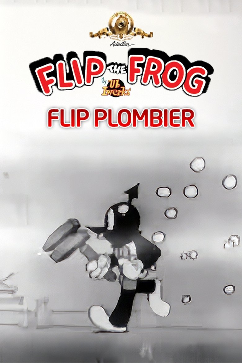 affiche du film Flip plombier