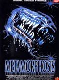 affiche du film Metamorphosis