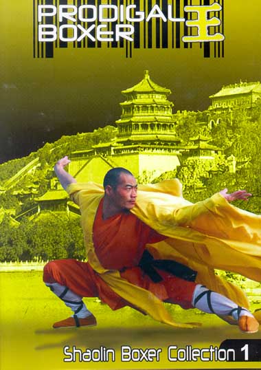 affiche du film La Rage Mortelle de Shaolin