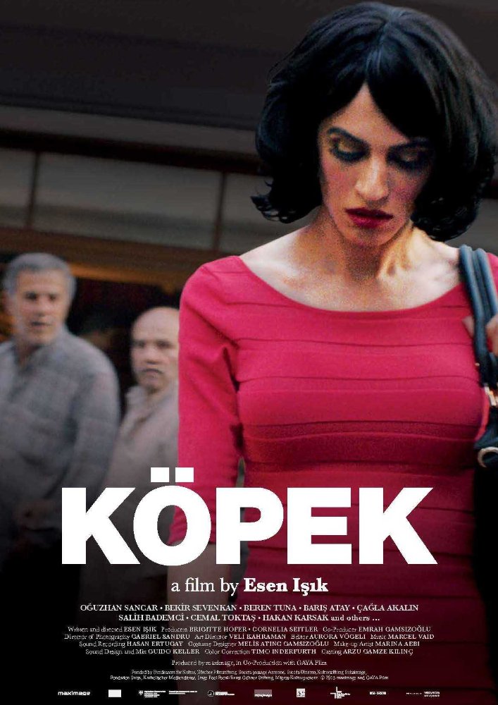 affiche du film Köpek