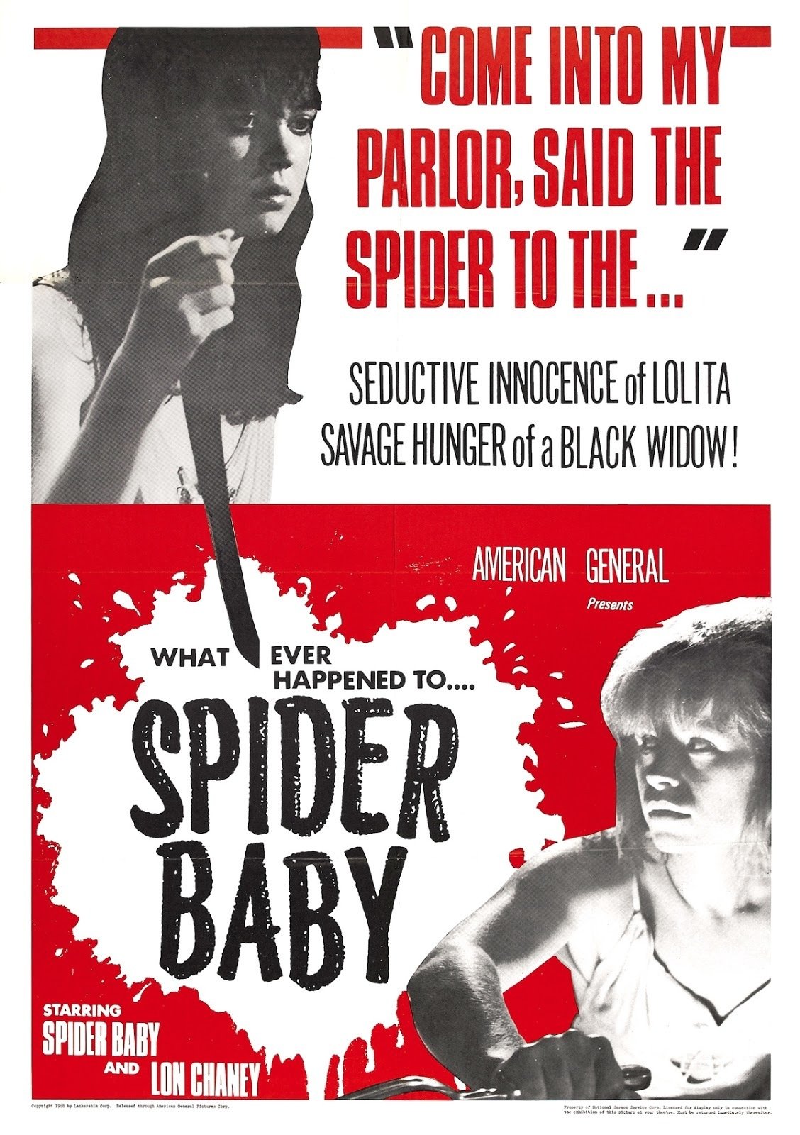 affiche du film Spider Baby