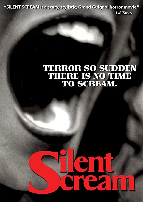 affiche du film Silent Scream