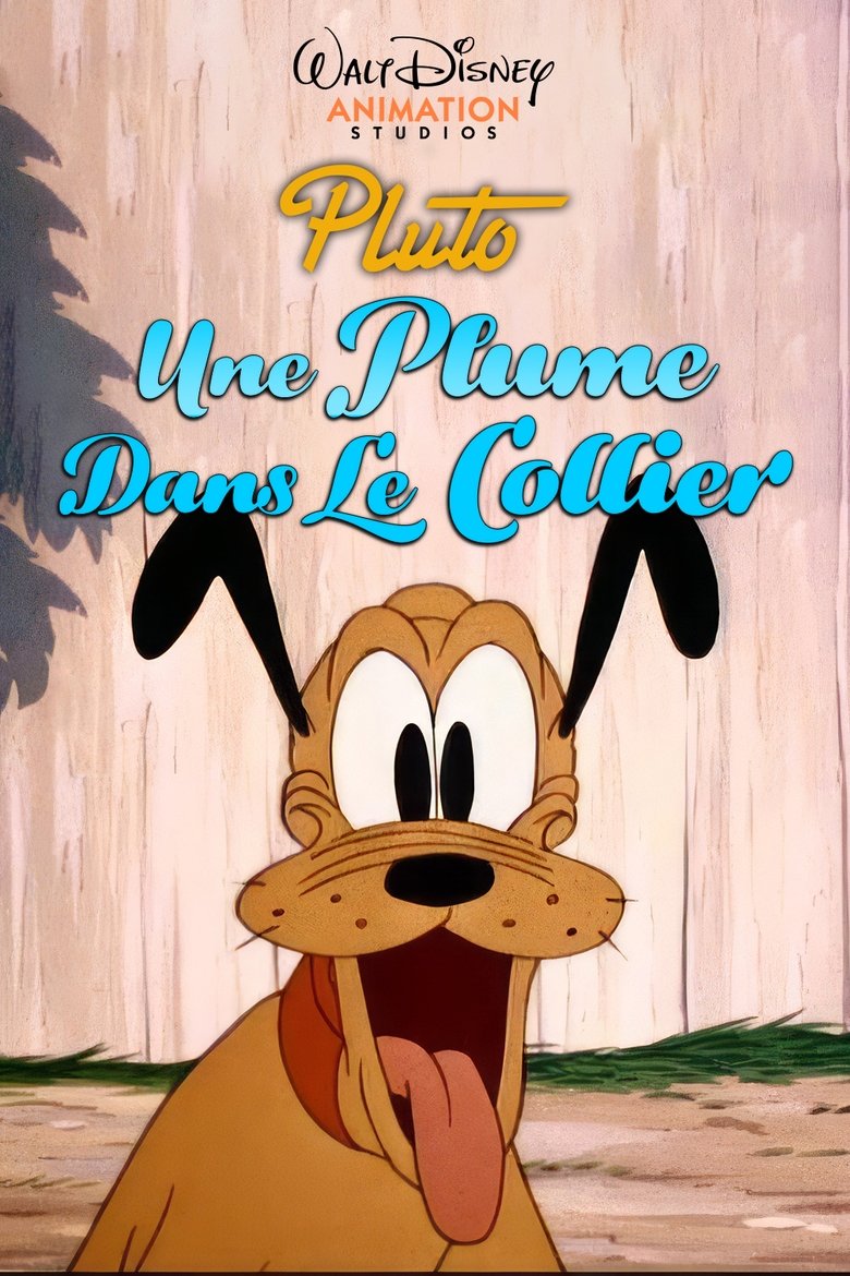 affiche du film Une Plume Dans Le Collier