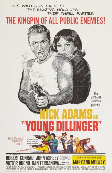 affiche du film Young Dillinger