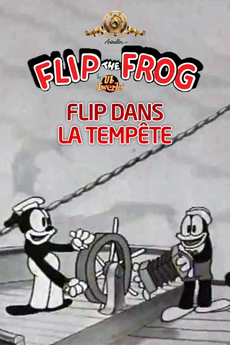 affiche du film Flip dans la Tempête
