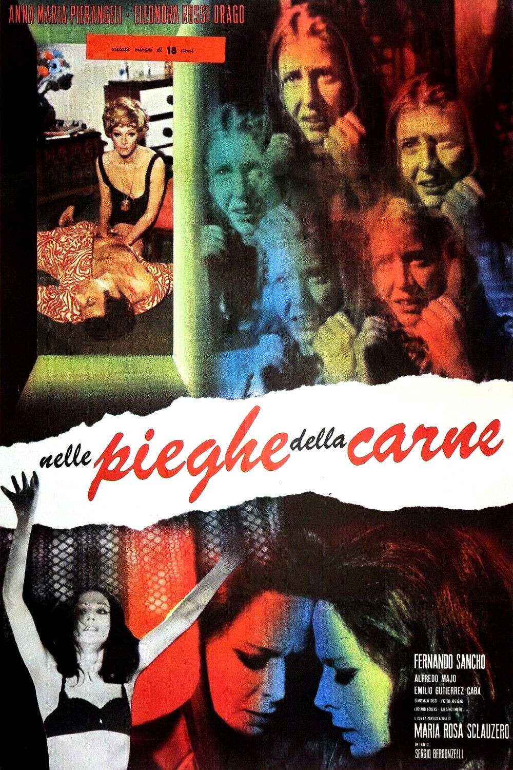 affiche du film Dans les replis de la chair