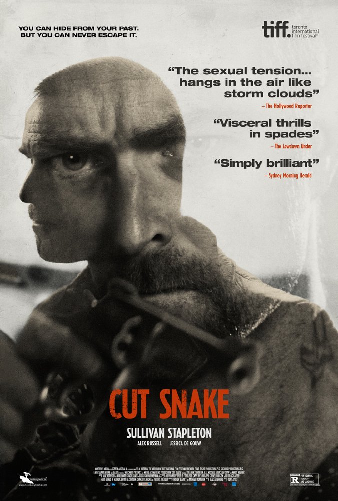 affiche du film Cut Snake
