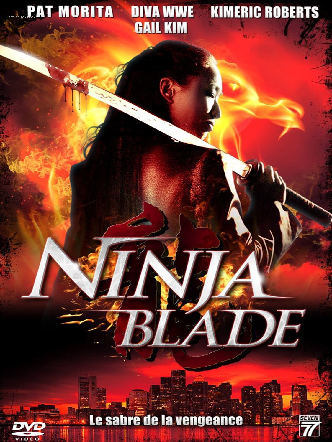 affiche du film Ninja Blade