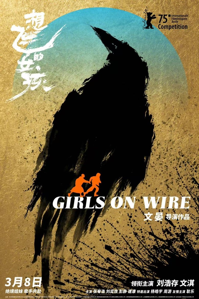 affiche du film Girls on Wire