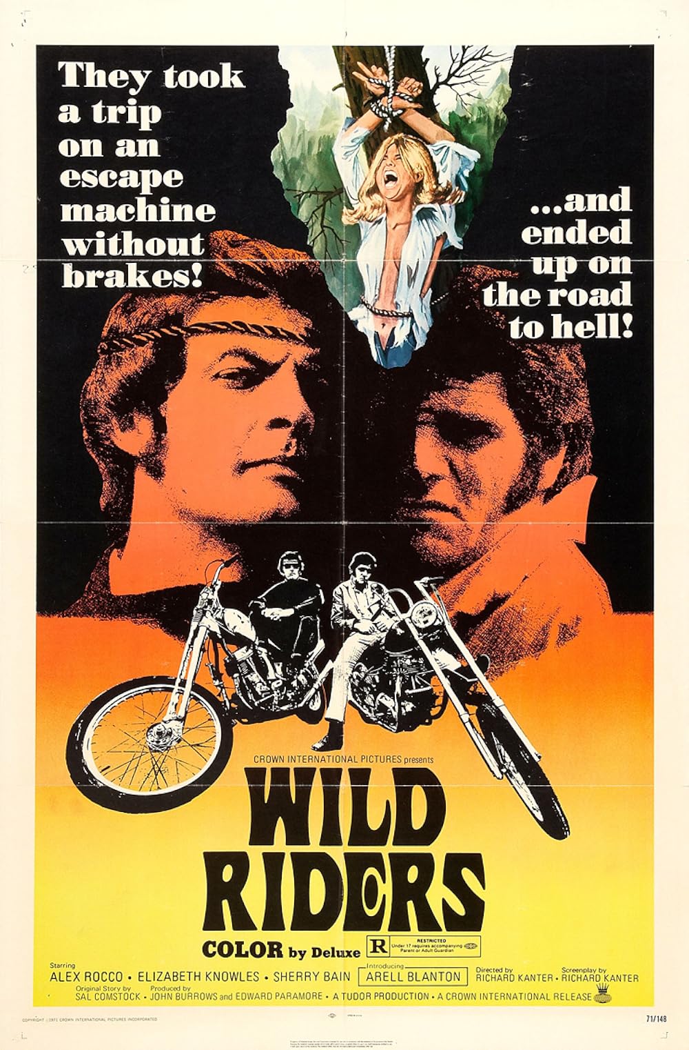 affiche du film Wild Riders