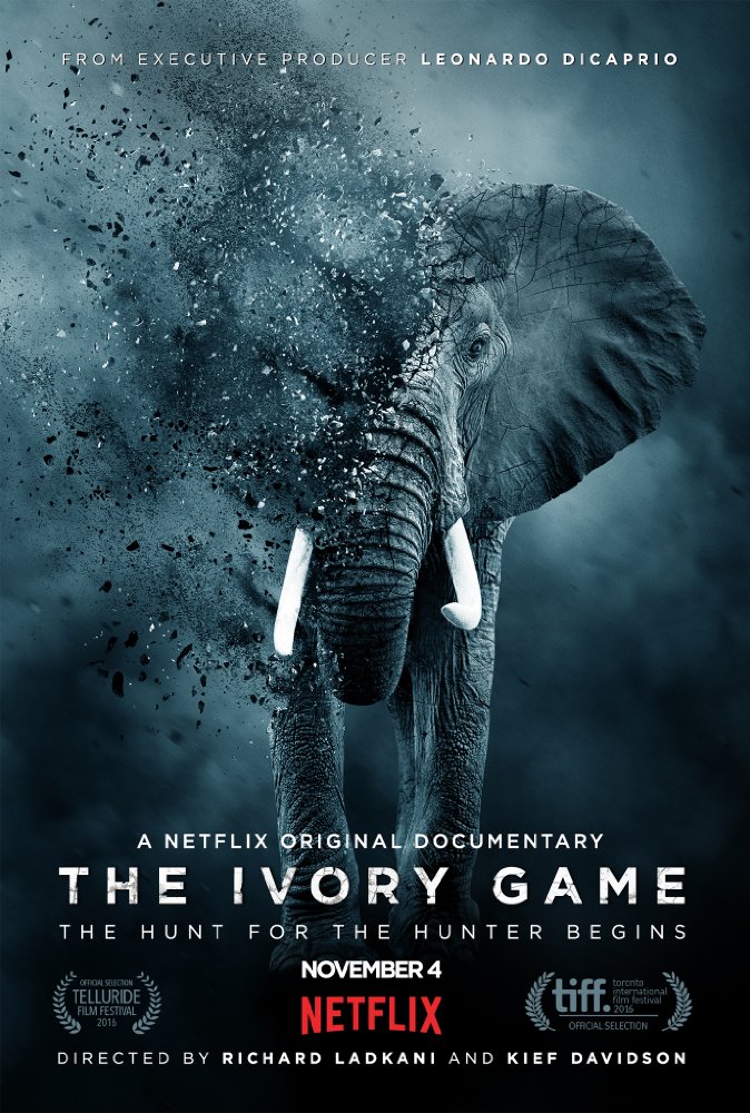 affiche du film The Ivory Game