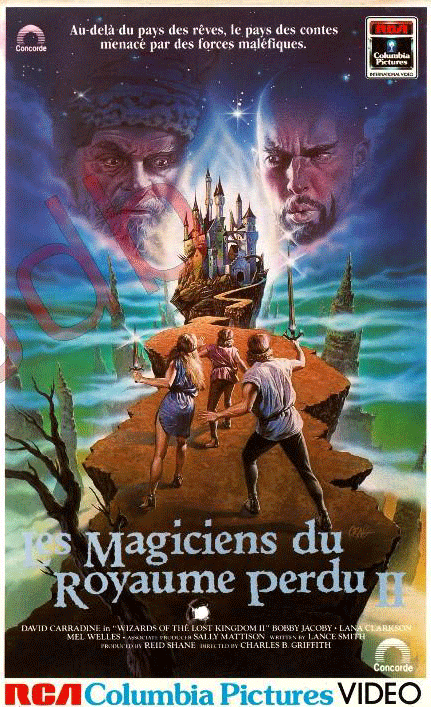 affiche du film Wizards of the Lost Kingdom II