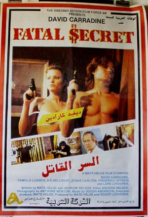affiche du film Fatal Secret