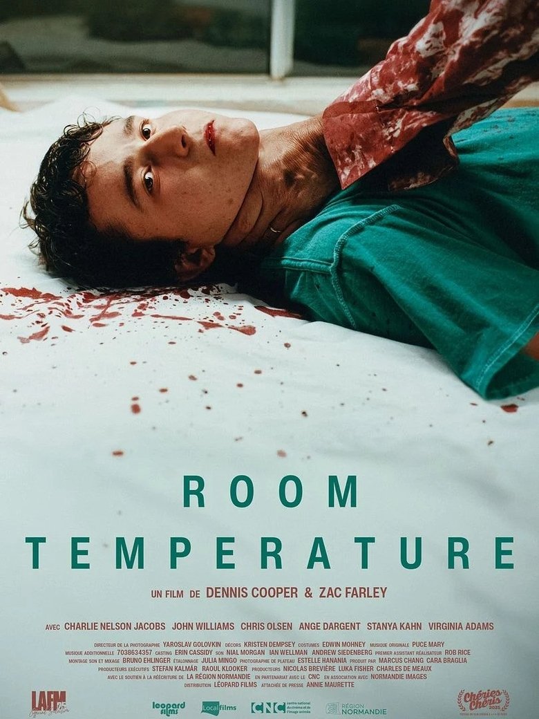 affiche du film Room Temperature
