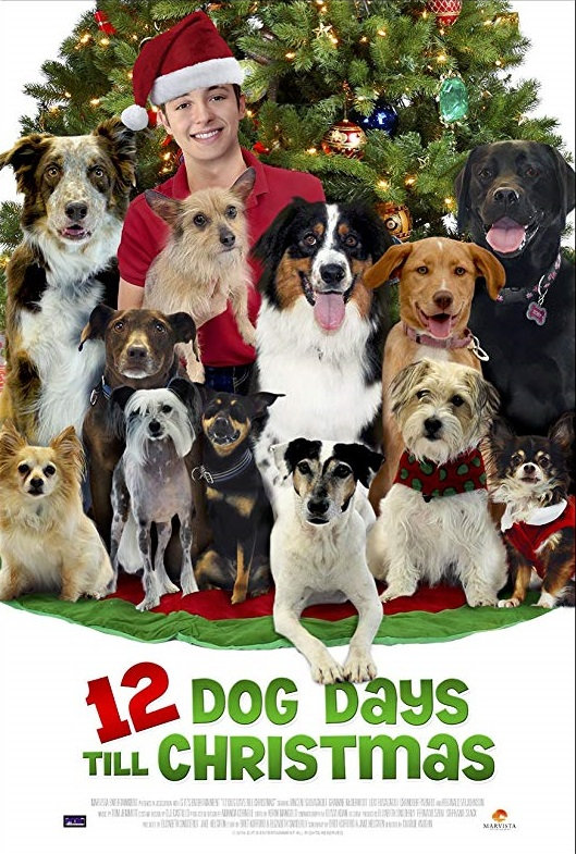 affiche du film Il faut sauver les chiens de Noël