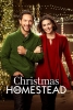 Noël avec une star (Christmas in Homestead)